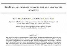 虎扑app-意大利卡利亚里大学首创红细胞AI显微镜医生