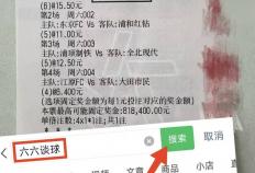 虎扑app-德甲：云达不来梅VS勒沃库森 独家比分预测