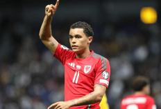 虎扑平台-世预赛：1-0，33嵗(suì)伯(bó)恩茅斯旧将制胜，威尔士登顶+甩比利时6分