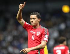 虎扑平台-世预赛：1-0，33嵗(suì)伯(bó)恩茅斯旧将制胜，威尔士登顶+甩比利时6分